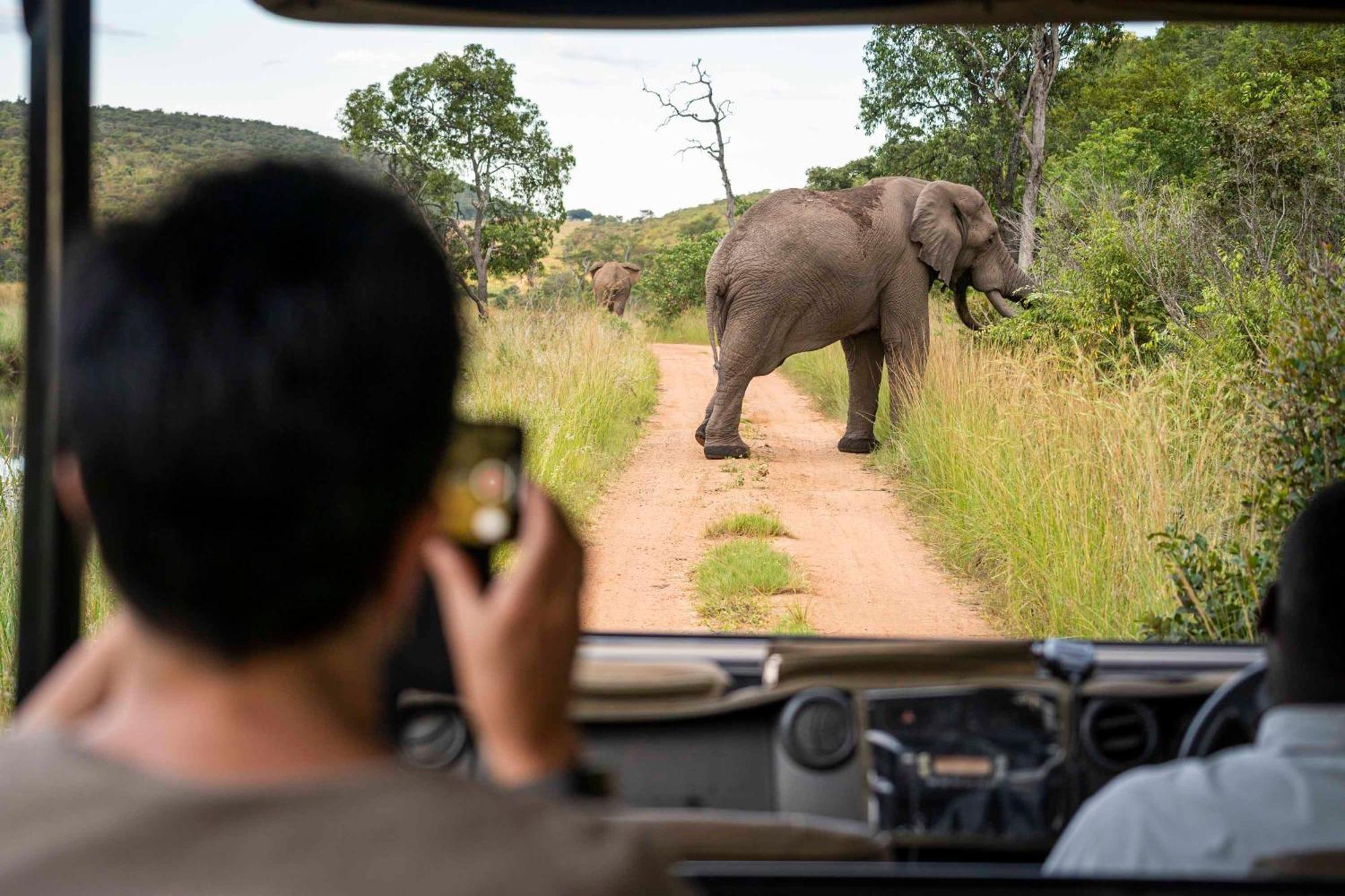 Tshwene Lodge Vaalwater Zewnętrze zdjęcie