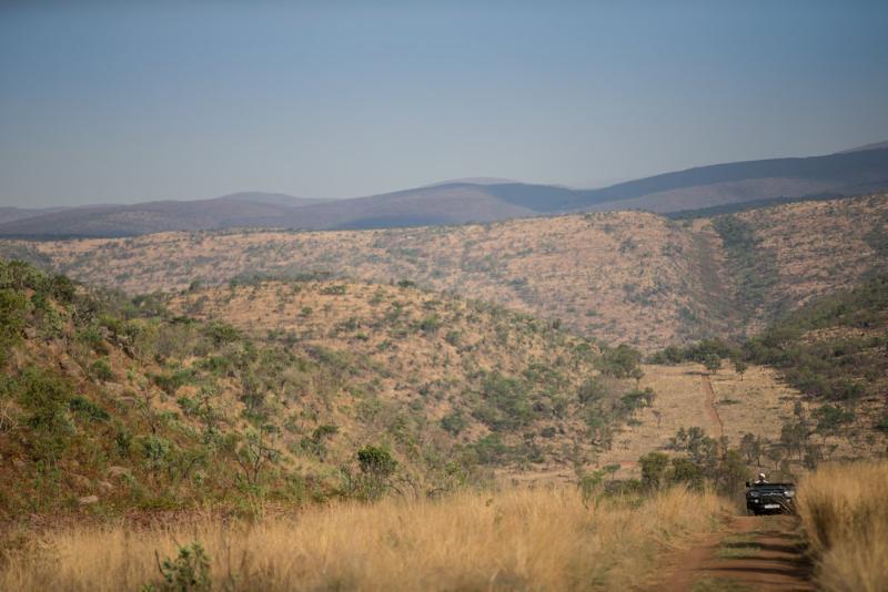 Tshwene Lodge Vaalwater Zewnętrze zdjęcie